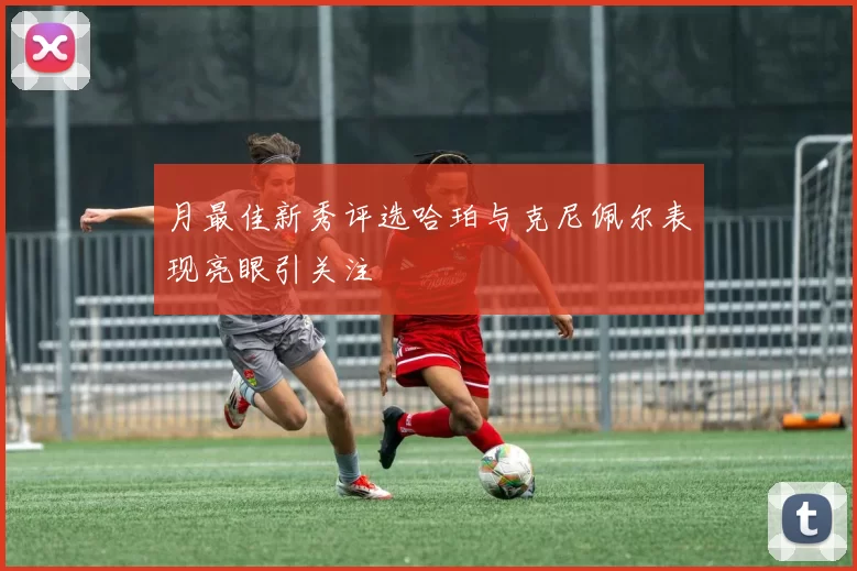 月最佳新秀评选哈珀与克尼佩尔表现亮眼引关注