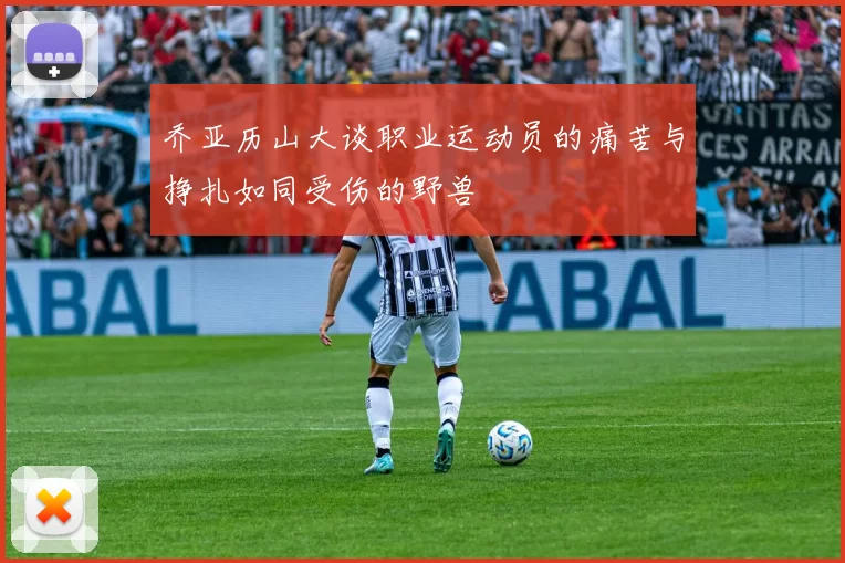 乔亚历山大谈职业运动员的痛苦与挣扎如同受伤的野兽
